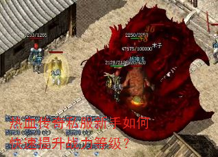 ��Ѫ����˽��������ο�������ս���ȼ���