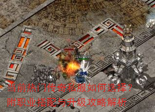 ��ǰ���Ŵ���˽�����ѡ�񣿸�ְҵ�������������Խ���