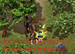 ʢ����Ѫ����˽����������ʧ����ν�������ֿ����������ɣ�