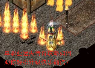 ��ְҵ��ʧ���湥��������������������ַ�����