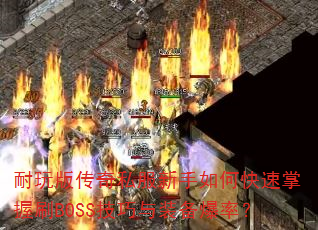 ����洫��˽��������ο�������ˢBOSS������װ�����ʣ�