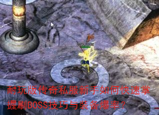 ����洫��˽��������ο�������ˢBOSS������װ�����ʣ�