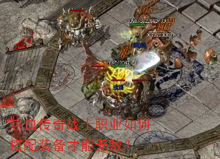 ��Ѫ����սʿְҵ��δ���װ�������޵У�