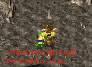 ����˽��ͨ���������������ο�������ս���ȼ���