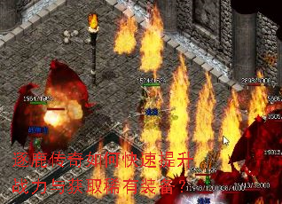 ��¹������ο�������ս�����ȡϡ��װ����