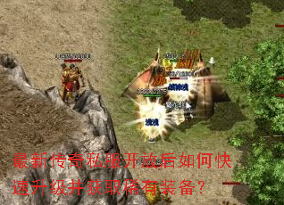 ���´���˽�����ź���ο�����������ȡϡ��װ����