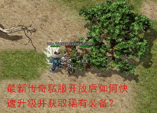 ���´���˽�����ź���ο�����������ȡϡ��װ����