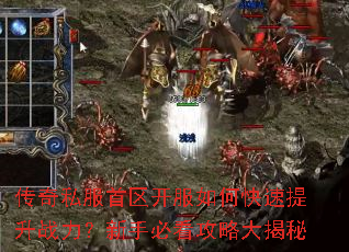 ����˽������������ο�������ս�������ֱؿ����Դ����