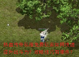 ��Ѫ����˽����������ο�������ս���������Լ�������Щ��