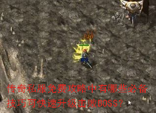 ����˽����ѹ���������Щ�ر����ɿɿ�����������BOSS��