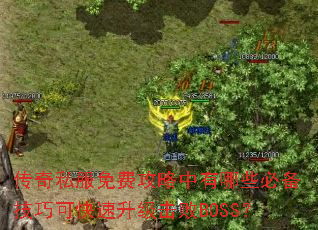 ����˽����ѹ���������Щ�ر����ɿɿ�����������BOSS��