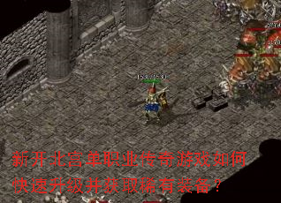 �¿�������ְҵ������Ϸ��ο�����������ȡϡ��װ����