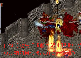 ������Ϸ������̣�սʿְҵ����ƿ�������ͻ��ս������������