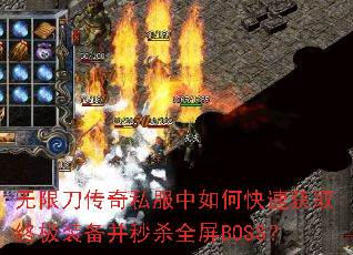 ���޵�����˽������ο��ٻ�ȡ�ռ�װ������ɱȫ��BOSS��