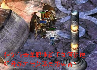 ���ô��浥ְҵ������ο�������ս�����ȡ�߼�װ����