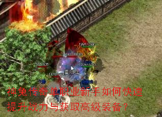 ���ô��浥ְҵ������ο�������ս�����ȡ�߼�װ����