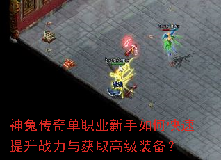 ���ô��浥ְҵ������ο�������ս�����ȡ�߼�װ����