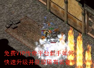 ���VIP����ƽ̨������ο�����������ȡϡ��װ����