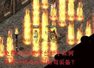 ���VIP����ƽ̨������ο�����������ȡϡ��װ����