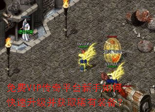 ���VIP����ƽ̨������ο�����������ȡϡ��װ����