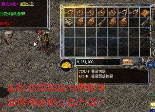 ��ְҵ΢�˷�����������ο���ˢװ��������