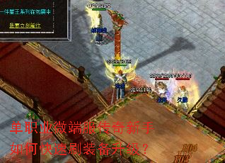 ��ְҵ΢�˷�����������ο���ˢװ��������