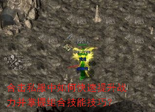 �ϻ�˽������ο�������ս����������ϼ��ܼ��ɣ�