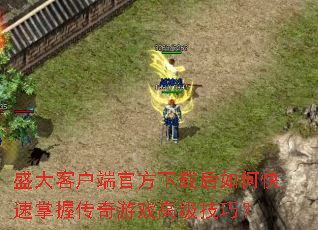 ʢ��ͻ��˹ٷ����غ���ο������մ�����Ϸ�߼����ɣ�