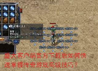 ʢ��ͻ��˹ٷ����غ���ο������մ�����Ϸ�߼����ɣ�