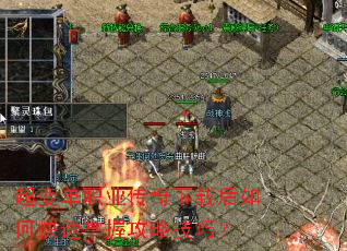 ���䵥ְҵ�������غ���ο������չ��Լ��ɣ�