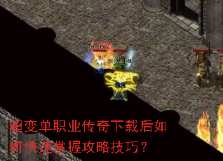 ���䵥ְҵ�������غ���ο������չ��Լ��ɣ�