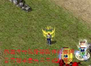 ��Ѫ����˽�������һ��������Ч������Ҳ�����ţ�