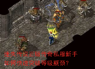 ��ʧ��˵���洫��˽��������ο���ͻ�Ƶȼ�ƿ����