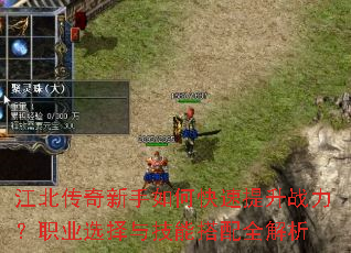 ��������������ο�������ս����ְҵѡ���뼼�ܴ���ȫ����