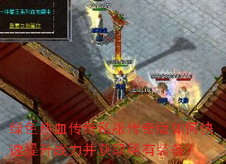 ��ɫ��Ѫ����˽���������ο�������ս������ȡϡ��װ����