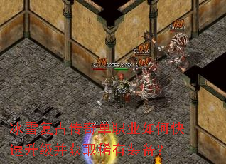 ��ѩ���Ŵ��浥ְҵ��ο�����������ȡϡ��װ����