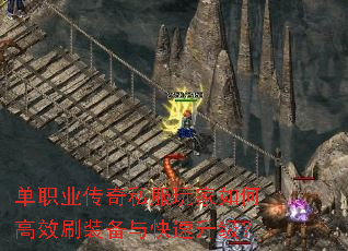 ��ְҵ����˽�������θ�Чˢװ�������������