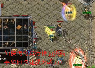 �����������а񶥼������ο�������ս����