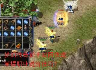 �λô���������ο�������ְҵ���׼��ɣ�