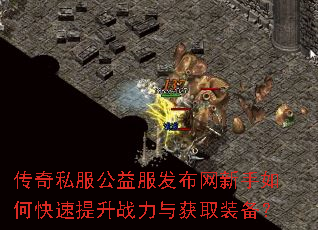 ����˽�������������������ο�������ս�����ȡװ����