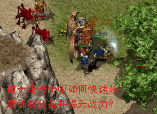 ��ʿ����������ο��ٻ�ȡϡ��װ��������ս����