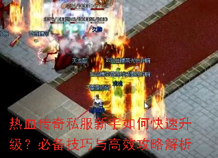 ��Ѫ����˽��������ο����������ر��������Ч���Խ���