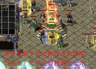 ���潻��ƽ̨��ο��ٻ�ȡϡ��װ�������ֽ����ؼ��󹫿�