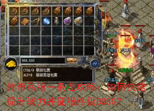 ����˽��һ�������ԣ���ο�������ս���������ռ�BOSS��