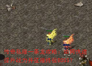 ����˽��һ�������ԣ���ο�������ս���������ռ�BOSS��