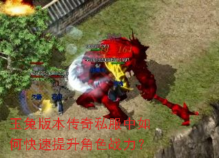 ���ð汾����˽������ο���������ɫս����