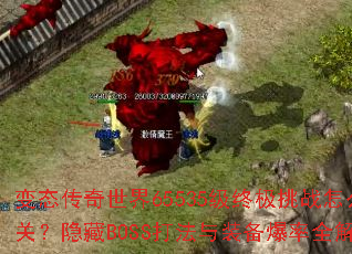 ��̬��������65535���ռ���ս��ôͨ�أ�����BOSS����װ������ȫ����