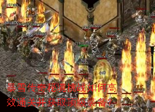 ��ѩ�����ؾ���ս��θ�Чͨ�ز���ȡ����װ����