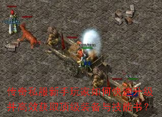 ����˽�����������ο�����������Ч��ȡ����װ���뼼���飿