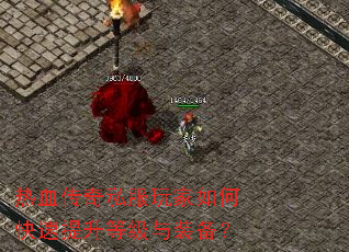 ��Ѫ����˽�������ο��������ȼ���װ����